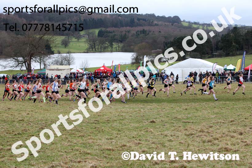 Junior womens 2018 Northern Cross Country Champs., Harewood House, Leeds. Photo: David T. Hewitson/Sports for All Pics